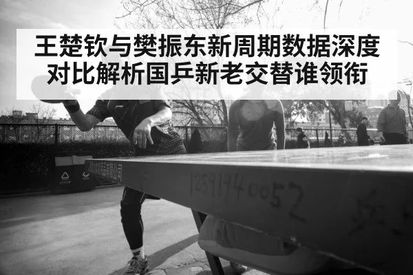 王楚钦与樊振东新周期数据深度对比解析国乒新老交替谁领衔