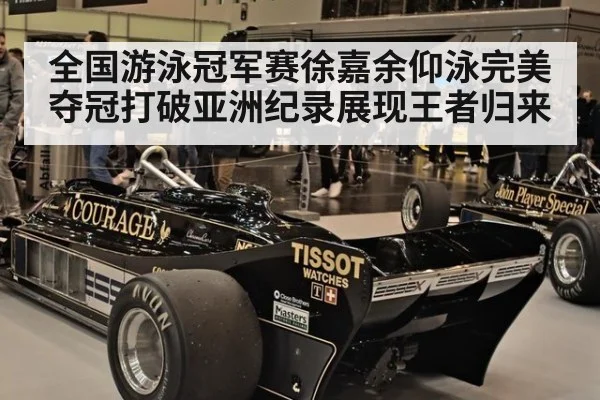 全国游泳冠军赛徐嘉余仰泳完美夺冠打破亚洲纪录展现王者归来